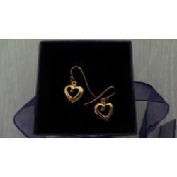 Eve gold plated oorbellen hangers "Luicardi"