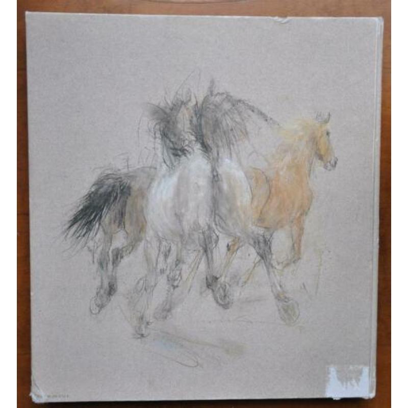 Piet Klaasse tekent paarden boek