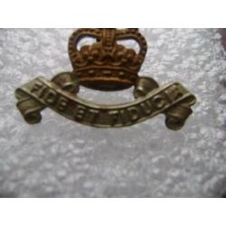 UK Cap Badge Royal Army Pay Corps (RAPC) British Army