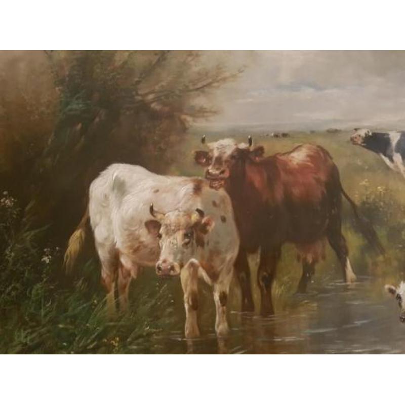 Henry schouten Koeien in wad