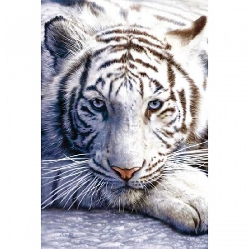 Themafeest dieren poster witte tijger Geen Woonaccessoires